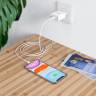 СЗУ HOCO C81A Asombroso Белый Micro-USB фото